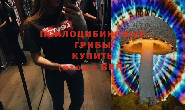 альфа пвп Алексеевка