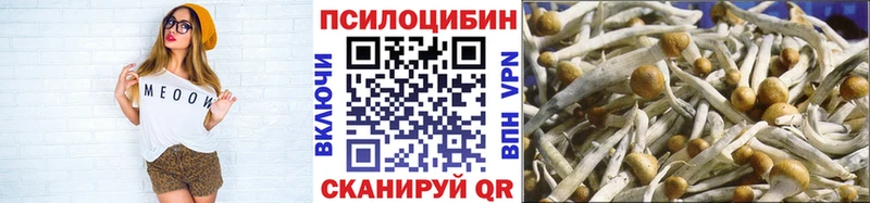 Псилоцибиновые грибы мицелий  Спасск 